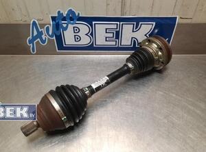 Drive Shaft VW GOLF V (1K1), VW GOLF VI (5K1), VW GOLF VI Van (5K1_), AUDI A3 (8P1)