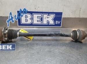 Drive Shaft VW TIGUAN (AD1, AX1), VW TIGUAN ALLSPACE (BW2)