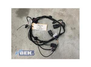 Wiring Harness AUDI A3 (8V1, 8VK), AUDI A3 Sportback (8VA, 8VF)