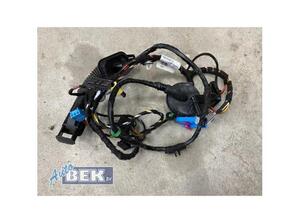 Wiring Harness VW GOLF ALLTRACK VII Variant (BA5, BV5), VW GOLF VII Variant (BA5, BV5)