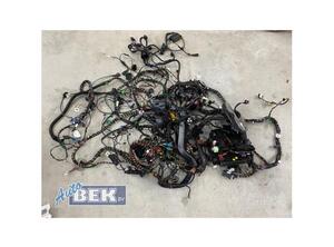 Wiring Harness VW POLO (AW1, BZ1)