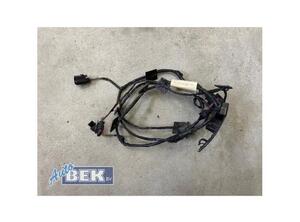 Wiring Harness VW POLO (AW1, BZ1)