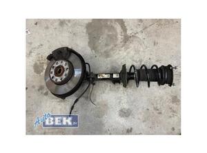 Suspension Strut VW GOLF VII (5G1, BQ1, BE1, BE2)