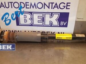 Shock Absorber AUDI A3 Sportback (8VA, 8VF)