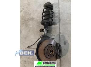 Shock Absorber VW TRANSPORTER V Van (7HA, 7HH, 7EA, 7EH), VW TRANSPORTER VI Van (SGA, SGH, SHA, SHH)