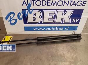 Gas Spring AUDI A4 Avant (8K5, B8)