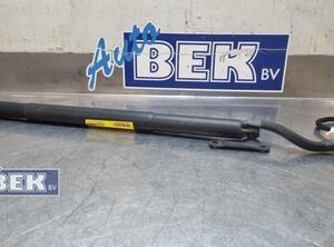 Heckklappendämpfer links VW Tiguan II AD 5NA827851A P21576155