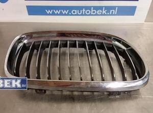 Radiator Grille BMW 3er (E90)