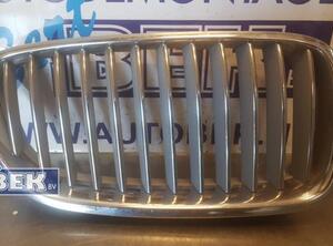 Radiator Grille BMW 5er (F10)