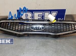 Kühlergrill Kia Picanto TA 86351Y000 P19953234