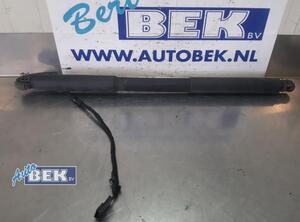 Motor Achterklep BMW 3er Touring (F31)