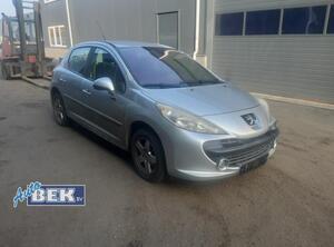 Spatbord PEUGEOT 207 (WA_, WC_)