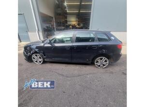 Door AUDI A3 (8P1), AUDI A3 Sportback (8PA)