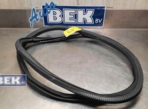 Door Seal MERCEDES-BENZ A-Klasse (W177)