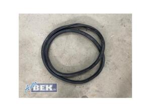 Door Seal VW POLO (AW1, BZ1)