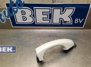 Door Handle VW Golf VII (5G1, BE1, BE2, BQ1)