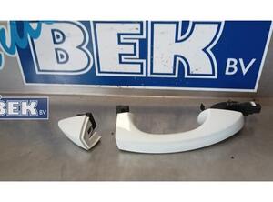 Door Handle VW Golf VII (5G1, BE1, BE2, BQ1)