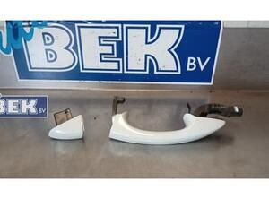 Door Handle VW Golf VII (5G1, BE1, BE2, BQ1)