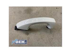 Door Handle VW GOLF VII (5G1, BQ1, BE1, BE2), VW GOLF VII Variant (BA5, BV5), VW GOLF VIII Variant (CG5)