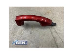 Door Handle VW GOLF VII (5G1, BQ1, BE1, BE2), VW GOLF VII Variant (BA5, BV5), VW GOLF VIII Variant (CG5)