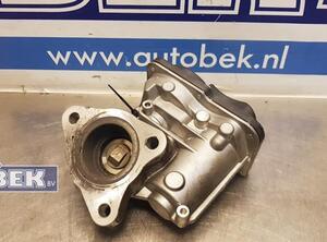 EGR Valve RENAULT Captur I (H5, J5), RENAULT Clio IV (BH)