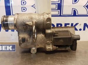 EGR Valve RENAULT KANGOO (KC0/1_)