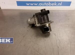 EGR Valve RENAULT CLIO III (BR0/1, CR0/1)