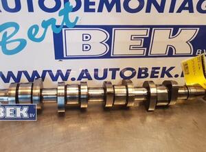 Camshaft AUDI A3 (8P1), AUDI A3 Sportback (8PA)