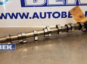 Camshaft VW Passat (3C2)