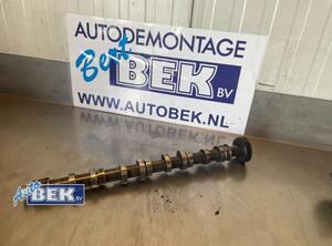 Nockenwelle VW Polo V 6R, 6C 03P109022 P15657568