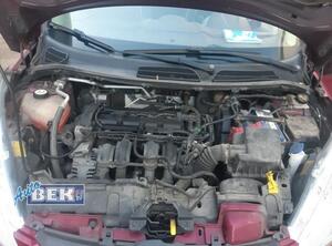 Bare Engine FORD FIESTA VI (CB1, CCN)