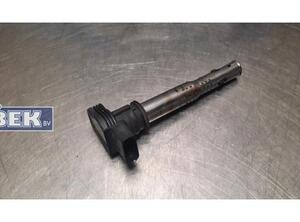 Ignition Coil AUDI Q5 (8RB)