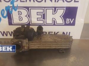 Koeler voor EGR AUDI A3 (8P1)