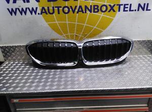 Radiateurgrille BMW 3 (G20, G80)