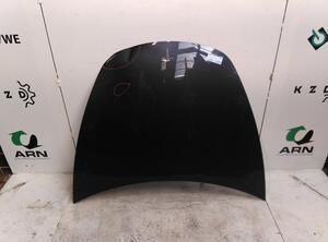 Motorhaube Tesla Model 3 5YJ3 1714047ECD P20296378