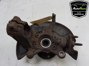 Stub Axle VW TIGUAN (5N_)