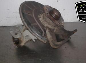 Stub Axle VW GOLF PLUS (5M1, 521), VW GOLF VI (5K1), VW GOLF VI Van (5K1_), VW GOLF VAN VI Variant (AJ5)