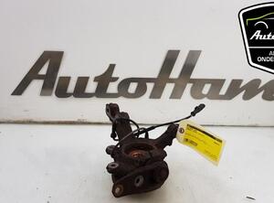 Stub Axle RENAULT TWINGO II (CN0_)