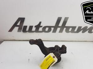 Stub Axle RENAULT CLIO III (BR0/1, CR0/1)