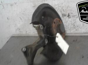 Stub Axle AUDI Q3 (8UB, 8UG), VW EOS (1F7, 1F8), VW PASSAT Variant (3C5), VW TIGUAN (5N_)