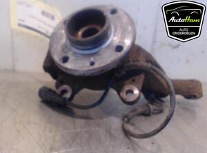 Stub Axle RENAULT CLIO III (BR0/1, CR0/1)