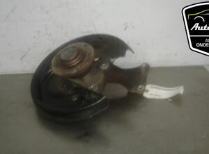 Stub Axle VW EOS (1F7, 1F8), AUDI Q3 (8UB, 8UG), VW PASSAT B7 Variant (365), VW TIGUAN (5N_)