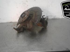 Stub Axle VW JETTA III (1K2), VW GOLF VI Variant (AJ5), VW GOLF VAN VI Variant (AJ5), VW GOLF V (1K1)