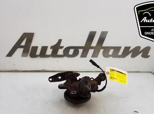 Stub Axle RENAULT TWINGO II (CN0_)