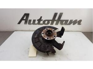 Stub Axle VW JETTA III (1K2), VW GOLF VI Variant (AJ5), VW GOLF VAN VI Variant (AJ5), VW GOLF V (1K1)