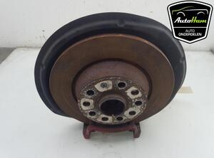 Stub Axle VW TIGUAN (5N_), AUDI TT (8J3), VW TIGUAN VAN (5N_)