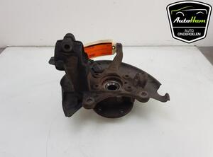 Stub Axle AUDI Q3 (8UB, 8UG), SEAT ALTEA (5P1), SEAT ALTEA XL (5P5, 5P8), SEAT TOLEDO III (5P2)