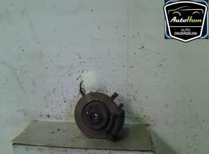 Stub Axle RENAULT TWINGO II (CN0_)