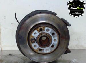 Stub Axle SKODA OCTAVIA II Combi (1Z5), VW GOLF VI (5K1), VW GOLF VI Van (5K1_), VW GOLF VAN VI Variant (AJ5)