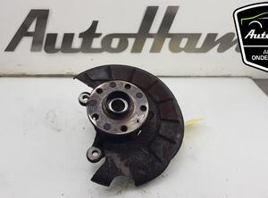 Stub Axle AUDI A3 (8P1)